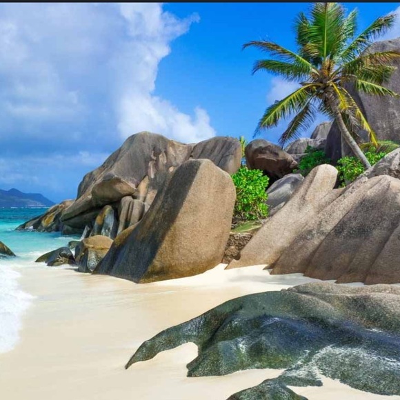 Meet your Posher, Louie - Picture 1 of 1